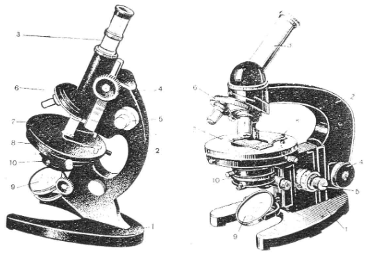 Ерекше фигуралық порно