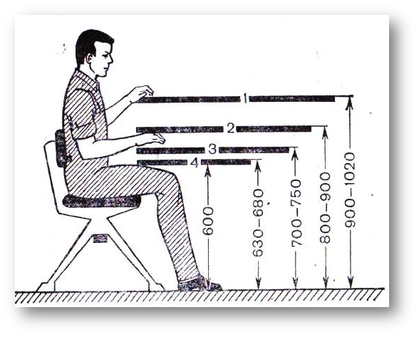 Нағыз порно шоу