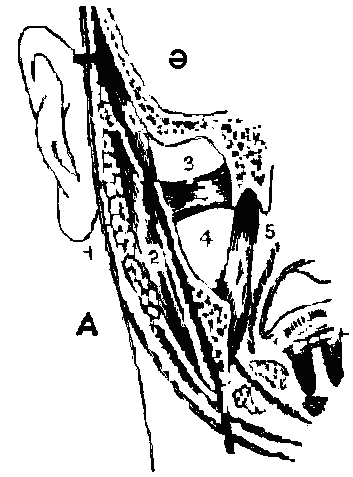 Кеңістіктердің алмасу аймағы