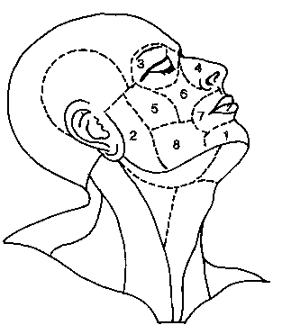 Жетілген әйелдің аузындағы конча